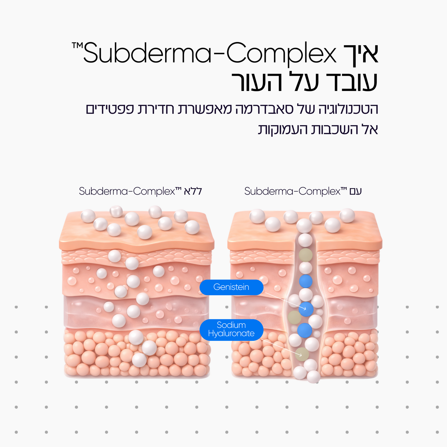 Step 02 | קרם יום POST-HA FILLERS